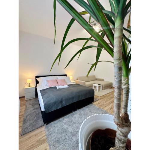 Mate Gold Apartment