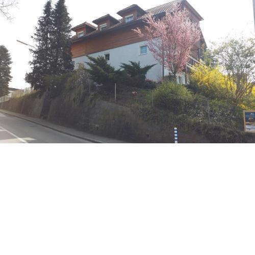 Mayerhofer House