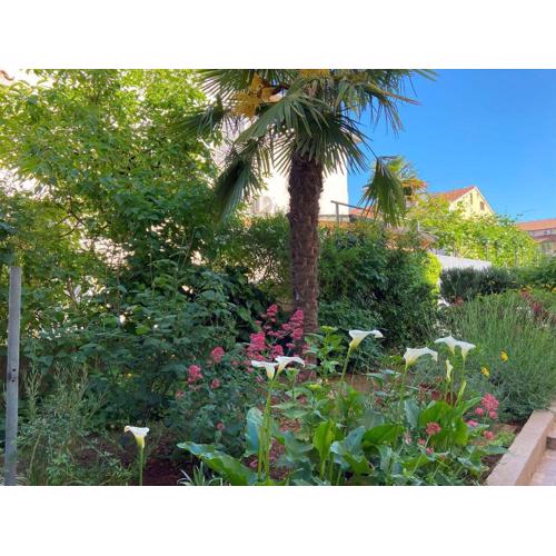 Mediterranes Apartment mit Grillbereich, Liegen im Garten, Privatparkplatz, WiFi