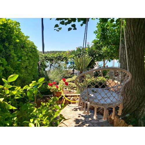 Meduza B&b