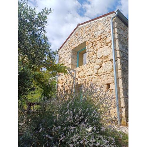 MeerLoft, Steinhaus Prem mit Panorama Meerblick