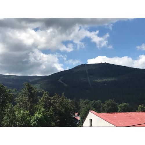 Mega widok