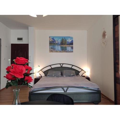 Mini Apartament Studio