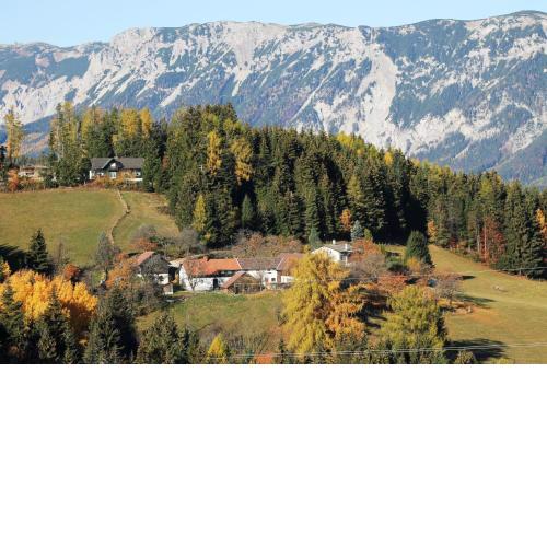 Miniferienwohnung für unkompliziertes Naturliebhaberpärchen