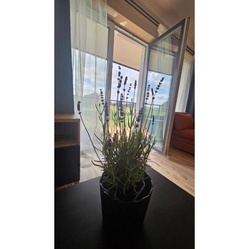 M&K Apartament Ptasi Raj - Wyspa Sobieszewska Gdańsk