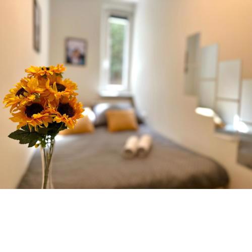 MMRent Hill Room
