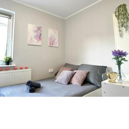 MMRent Pink Fusion Room