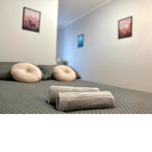 MMRent Stag Room