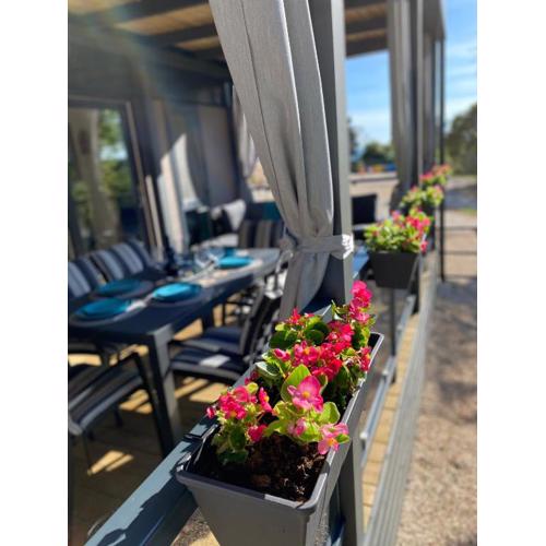 Mobile Home BIONDINA Camp Porton Nature Hideouts