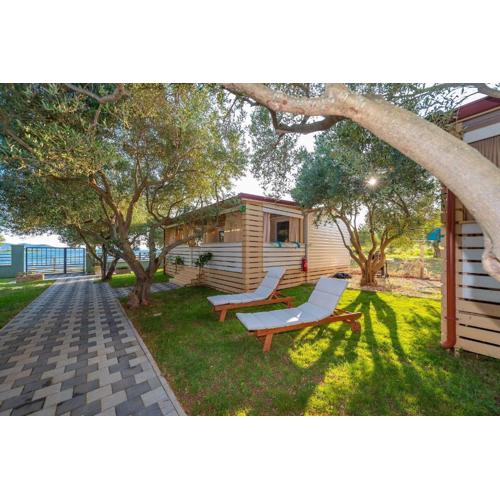 Mobile home Pecten 03