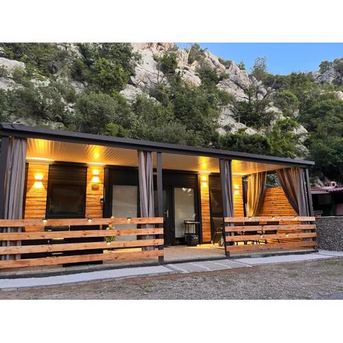 Mobile Homes \