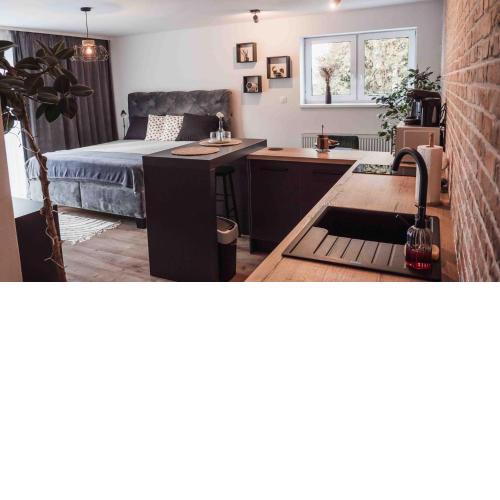 Modern Apartment in center