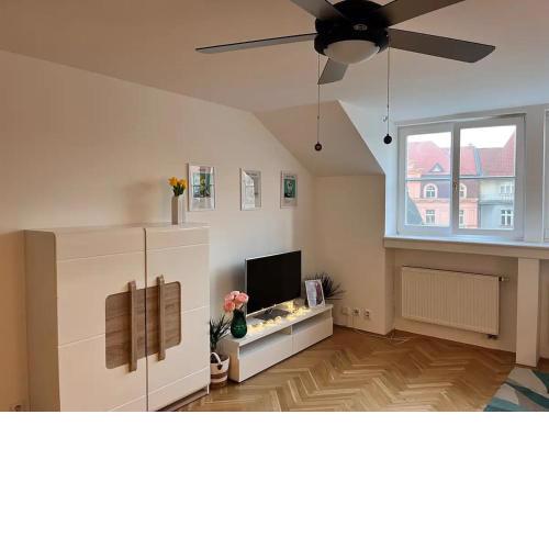 Modern apartment in the city centre