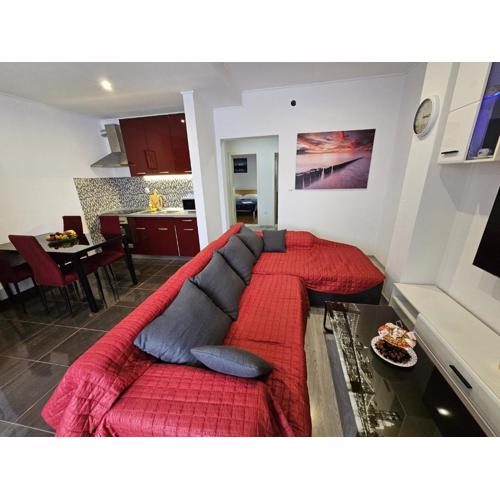 Modern apartment Nikola in a quiet area