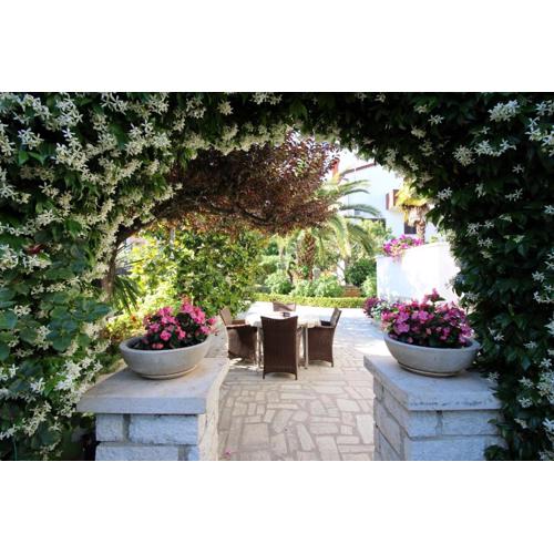 Modern apartment Sabina with nice garden