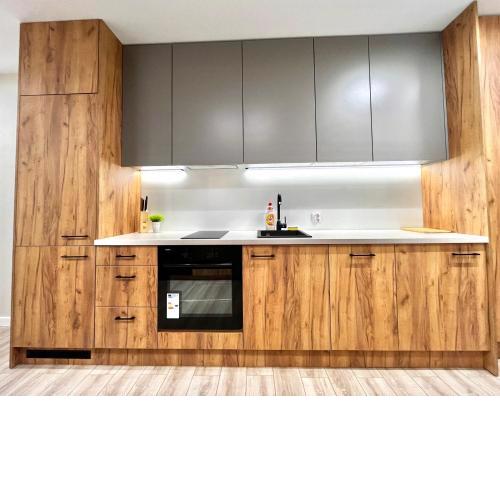 Modern Apartment