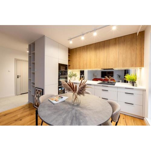 Modern Apartment