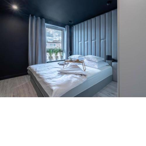 Modern Black Spot
