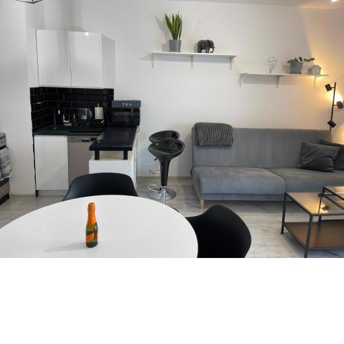 Modern Box Apartment
