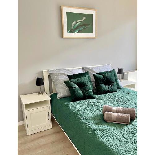 Modern Green Apartment