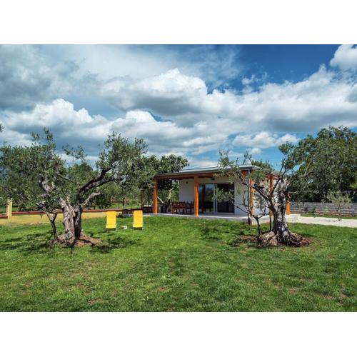 Modern holiday home with enclosed garden