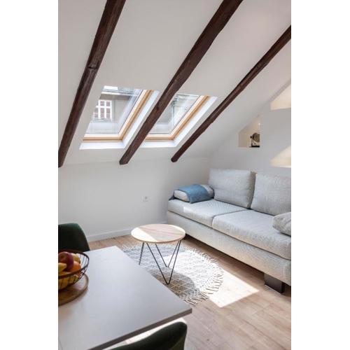 Modern Loft with Gallery in City Center