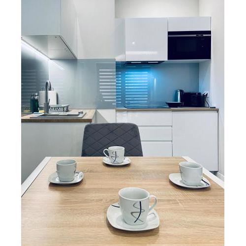 Modern Silver Apartment