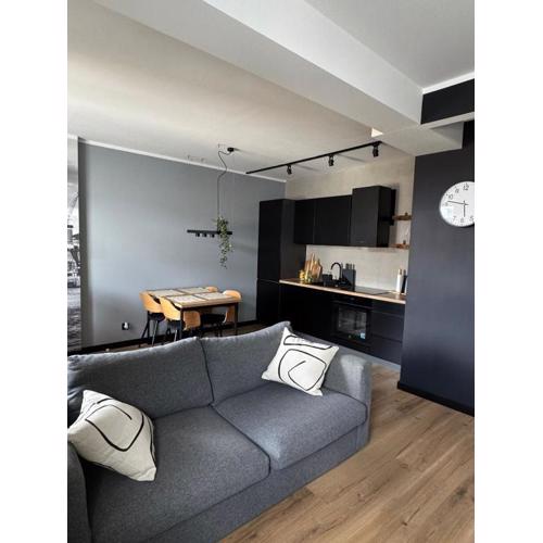 Modern, stylish apartment in the heart of the city