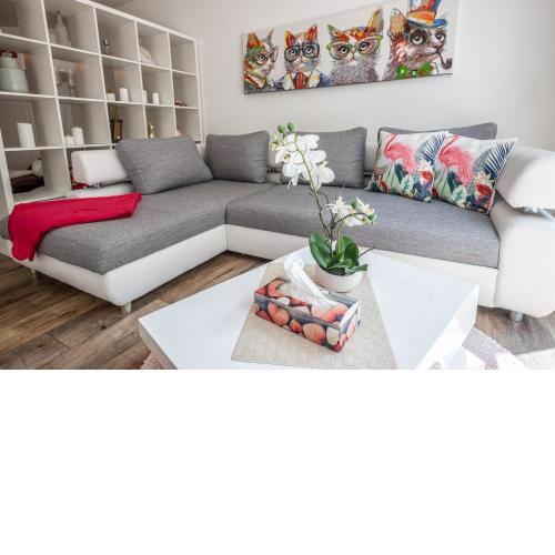 Moderne Souterrain-Wohnung