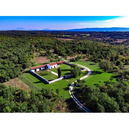 Modernes Ferienhaus In Krnica Mit Großem Garten