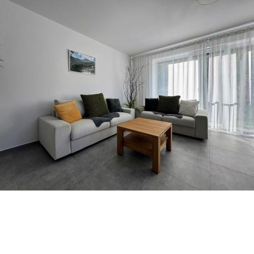 Moderný apartmán NAVIA Rajecké Teplice obklopený nádhernou prírodou a wellness