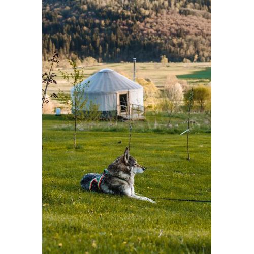 Mononoke -Jurty nad Sanem