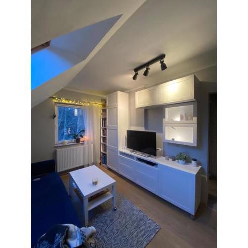Moon Apartment