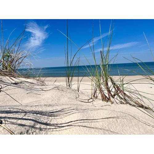 morze i plaża