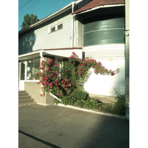 motel Pid Strihoyu