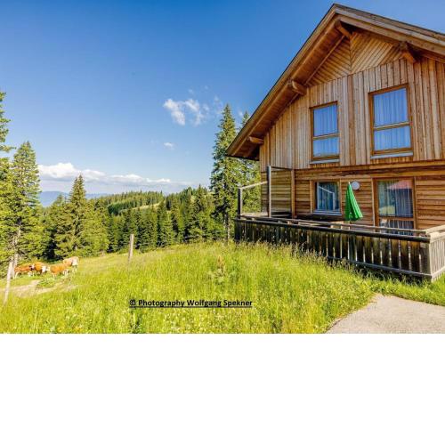 Mountain hut with sauna on Weinebene