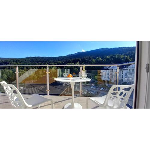 Mountain View Czarna Góra Resort