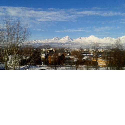 Mountain View Studio Apartment