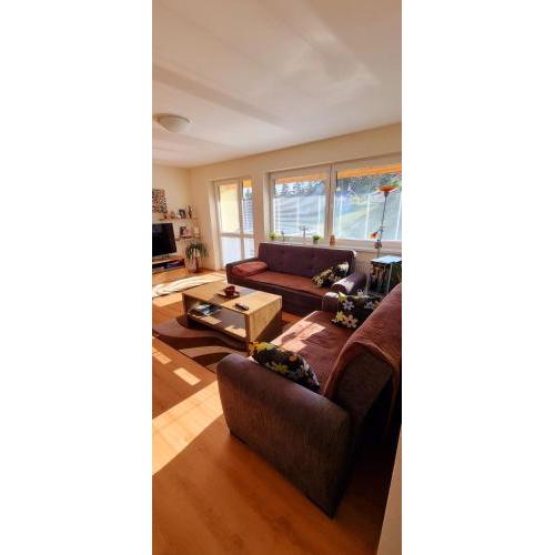 Mountain Village Apartment Pinewood ***