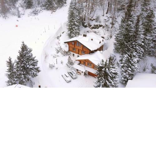 MOUNTAINRANGER - Lodge - ski in & ski out