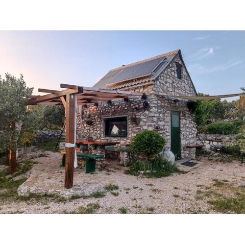 Mrdina house