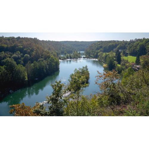 MREŽNICA - ZELENA BAJKa