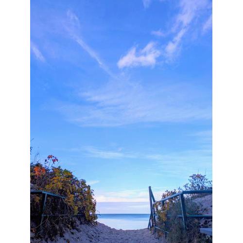 Muelle