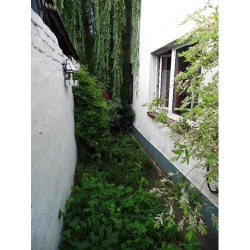 Mur 4 - Apartament z patio
