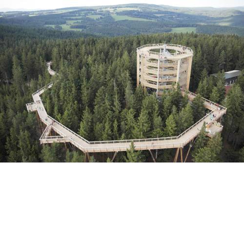 Myši V Botě Lipno