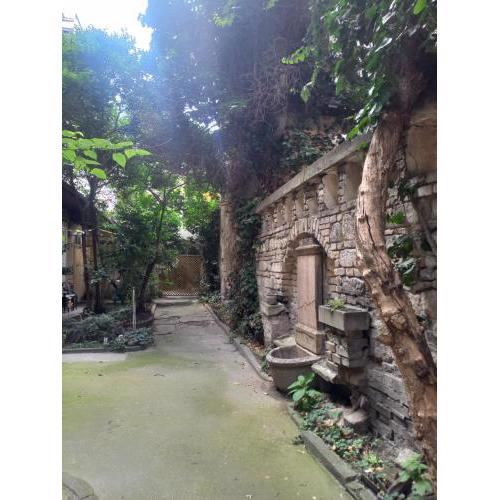 Mysterious Garden