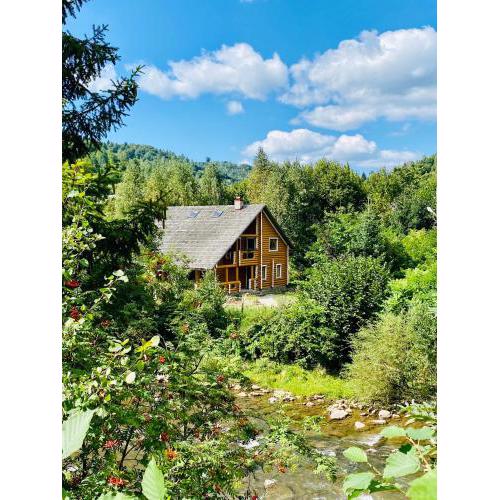 MySynevyr - будинок у серці Карпат