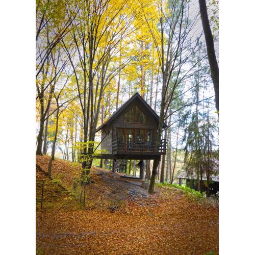 Na Skraju Lasu Domek na Drzewie & Glamping