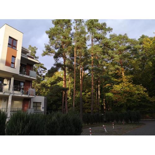 Nadmorski apartament w lesie