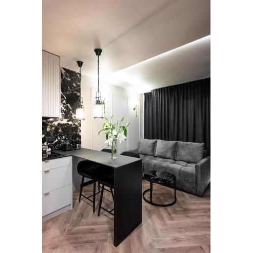 Native Apartments Kościuszki 39I24